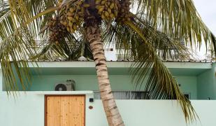 Bliss Dhigurah