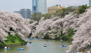Monterey Akasaka