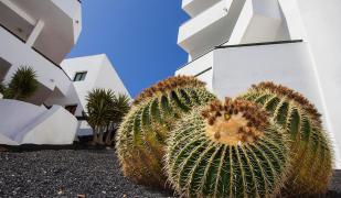 Costa Teguise