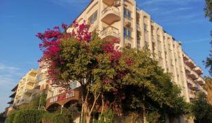 Golden Rose Hotel