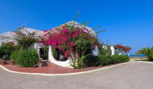 Nirvana Beach Hotel