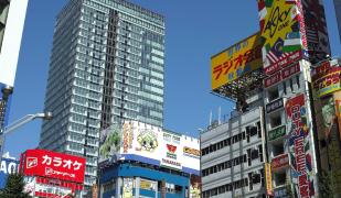 Akihabara Washington Hotel