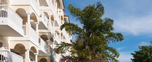 Occidental Caribe Occidental Caribe