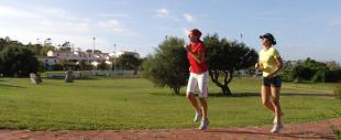 Airone Airone