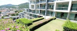 Sugar Palm Grand Hillside Sugar Palm Grand Hillside