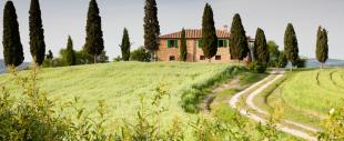 Siena Siena