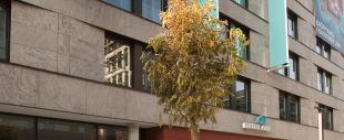Motel One Stuttgart-Hauptbahnhof Motel One Stuttgart-Hauptbahnhof
