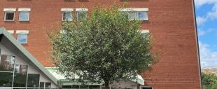 ProfilHotels Nacka