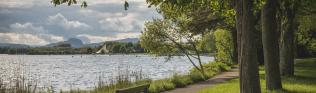Bank, Park, See Radolfzell Am Bodensee