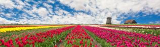 Niederlande