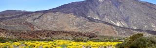 Teneriffa: Eintritt zum Teide-Nationalpark ab 2026