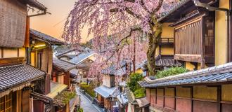Sakura, Kirschblüte Kyoto