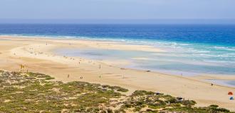 Salzwiesen Jandia Playa