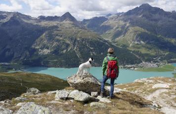 Hund, Wandern, Berge, See