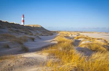 Ansicht vom Lister Ellenbogen auf Sylt mit Leuchtturm und Dünen.