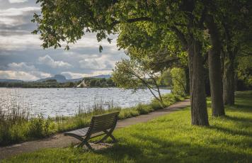 Bank, Park, See Radolfzell Am Bodensee