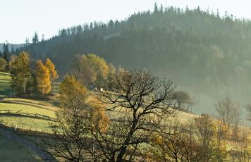 Polen