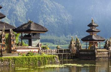 Bali Bali