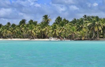 Dominikanische Republik Strand Palme Emotion