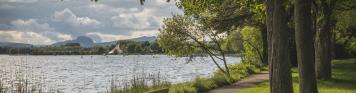 Radolfzell Am Bodensee Bank, Park, See Radolfzell Am Bodensee