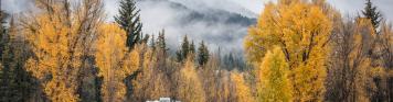 Wohnmobil+Roadtrip+Straße+Herbst