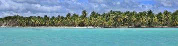 Dominikanische Republik Strand Palme Emotion