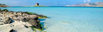 Italien: Sardinien La Pelosa Stintino Strand