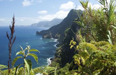 Madeira Madeira