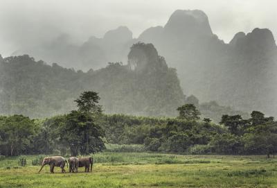 18083-thailand-monsun-regen-sturm-flut-gettyimages-700861160