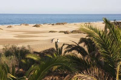16625-spanien_-gran-canaria---maspalomas