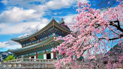17833-suedkorea
