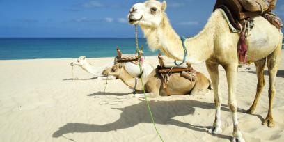 Boa Vista Boa Vista