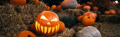 Kürbis, Halloween, 1349074004