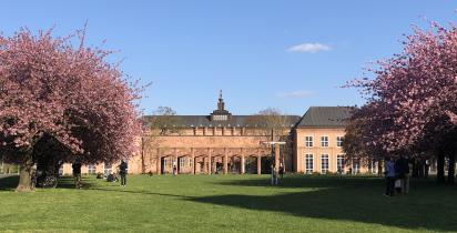 Grassi Museum - Leipzig Grassi Museum - Leipzig