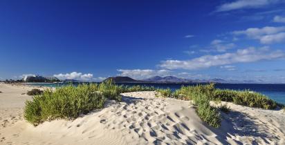 Corralejo