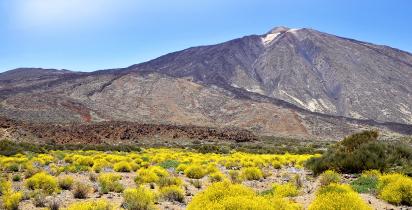 Teide - Teneriffa Teide - Teneriffa