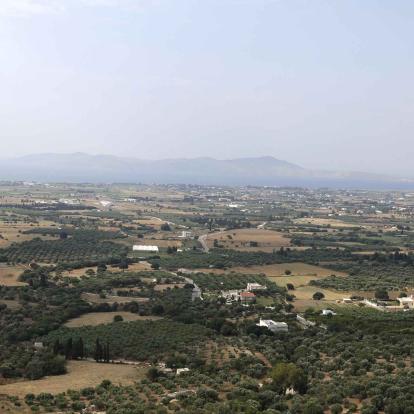 Tigaki
