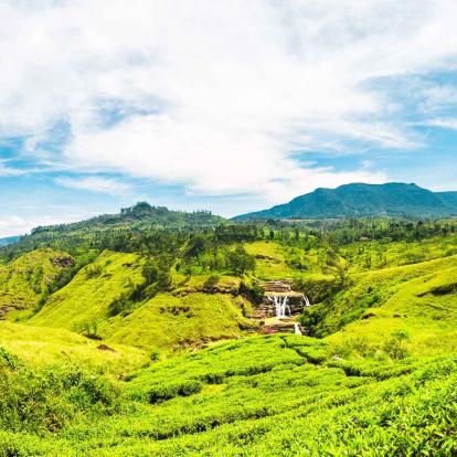 Nuwara Eliya