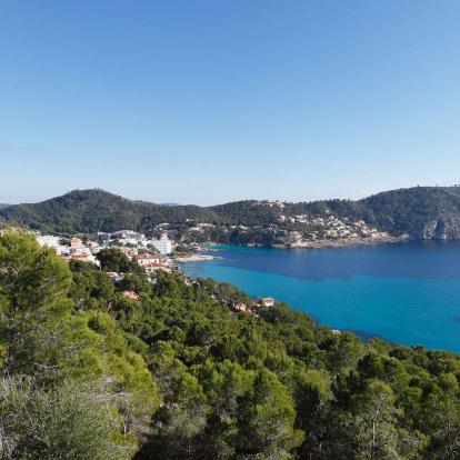 Camp de Mar