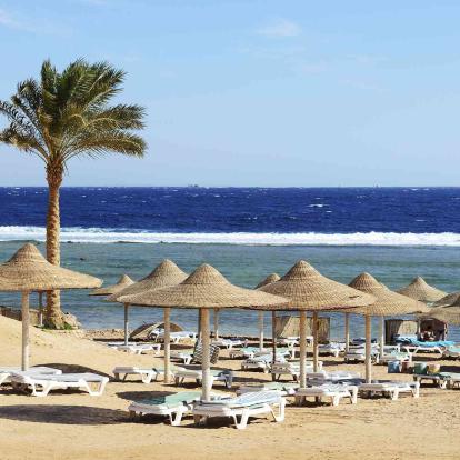 Nabq Bay (Sharm el Sheikh)