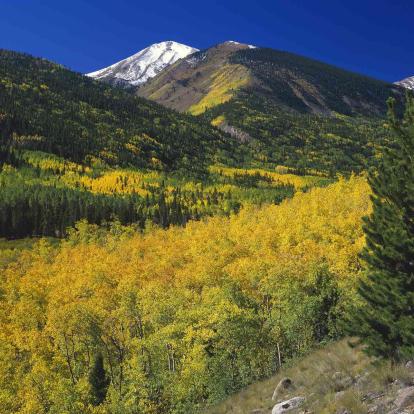 Colorado