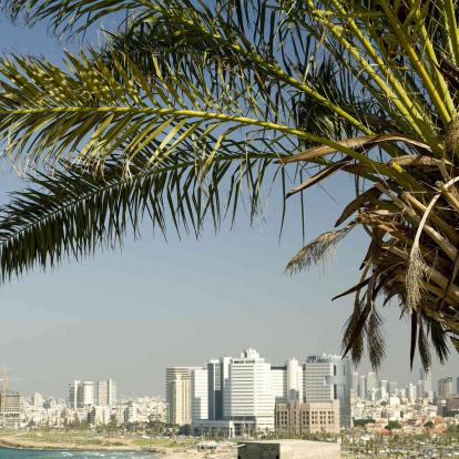 Netanya