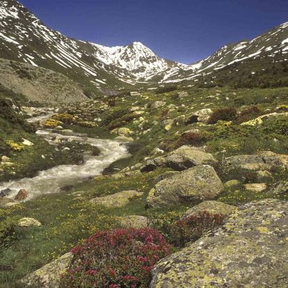 Ordino