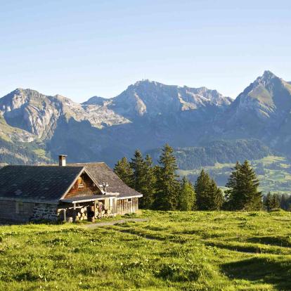 Wildhaus