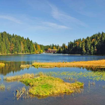 Bayerischer Wald