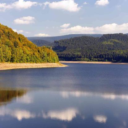 Harz
