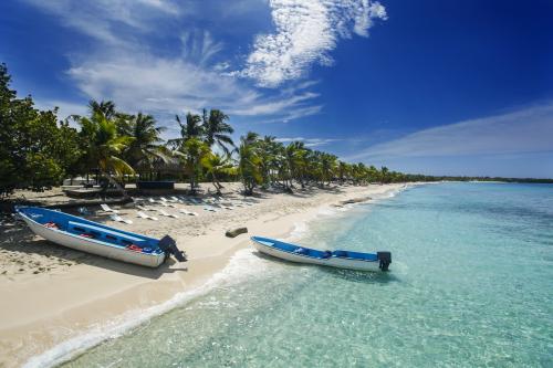 Strand mit Palmen