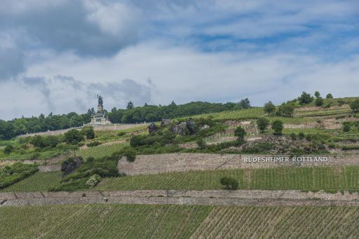 Deutschland-Weinfeste-Weinberge-Hessen-Rheingau