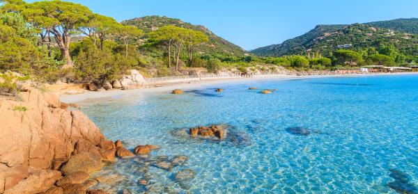 Strand von Palombaggia auf Korsika mit kristallklarem Wasser im Vordergrund.