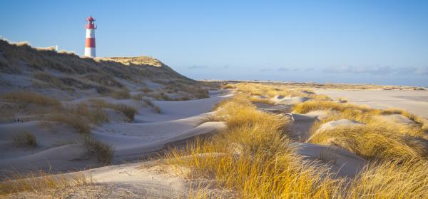 Ansicht vom Lister Ellenbogen auf Sylt mit Leuchtturm und Dünen.